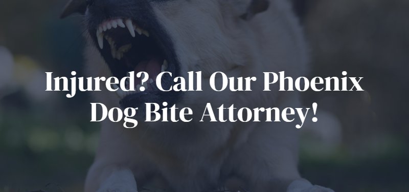 Phoenix Dog Bite Attorney